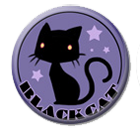 badges 22