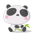 trans panda