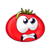 tomato1