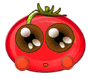 tomato11