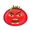 tomato2