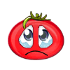 tomato5