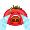 tomato7