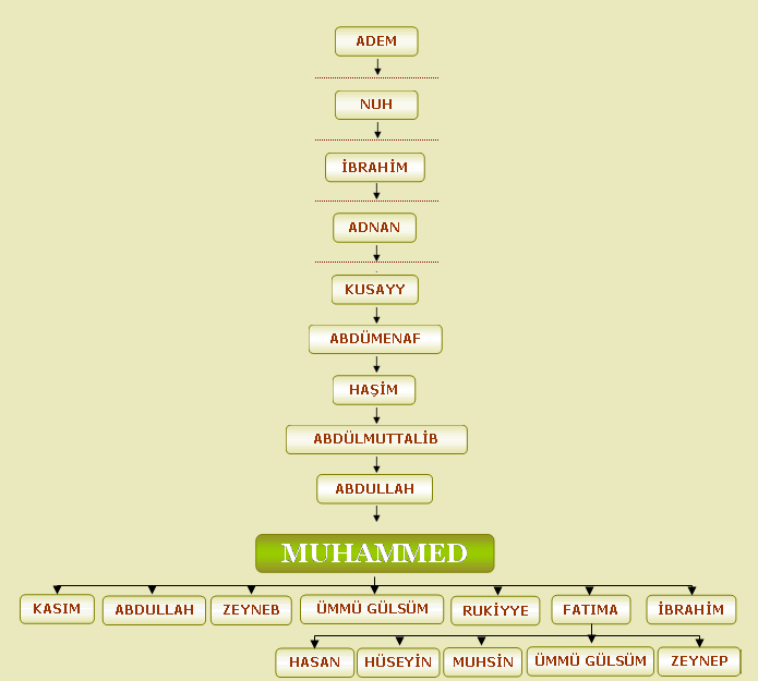 Потомки 4 буквы. Родословная Мухаммеда пророка. Родословная Мухаммеда пророка от Адама. Древо рода пророка Мухаммеда. Родословная дерево пророка Мухаммеда.